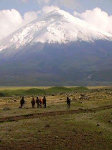 Equateur - Groupe de cavaliers  - Randonnée équestre sur l'avenue des volcans - Randocheval / Absolu voyages